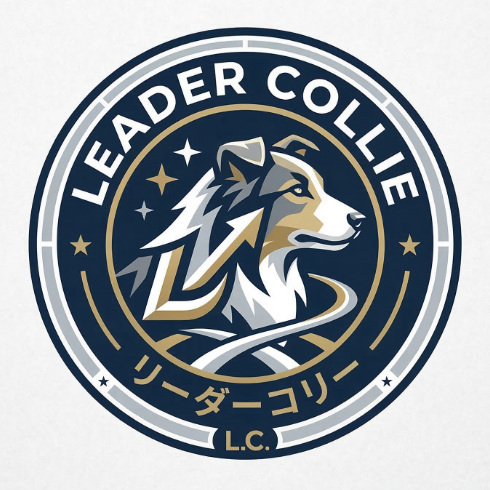 リーダーコリー